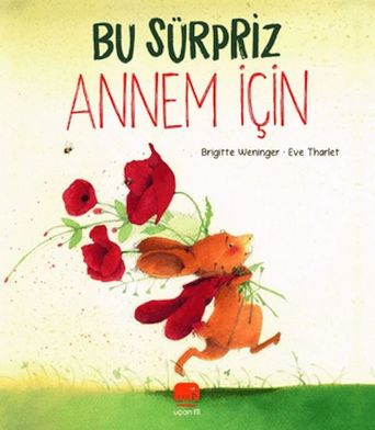 Diğer Bu Sürpriz Annem İçin - Huvj-878667