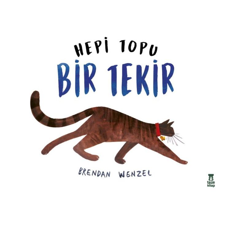 Diğer Hepi Topu Bir Tekir - Huvj-751511