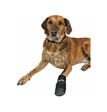 Diğer MMDP000674-BLNC Neopren Köpek Patiği 2 Adet Siyah Xxxl Çok Renkli