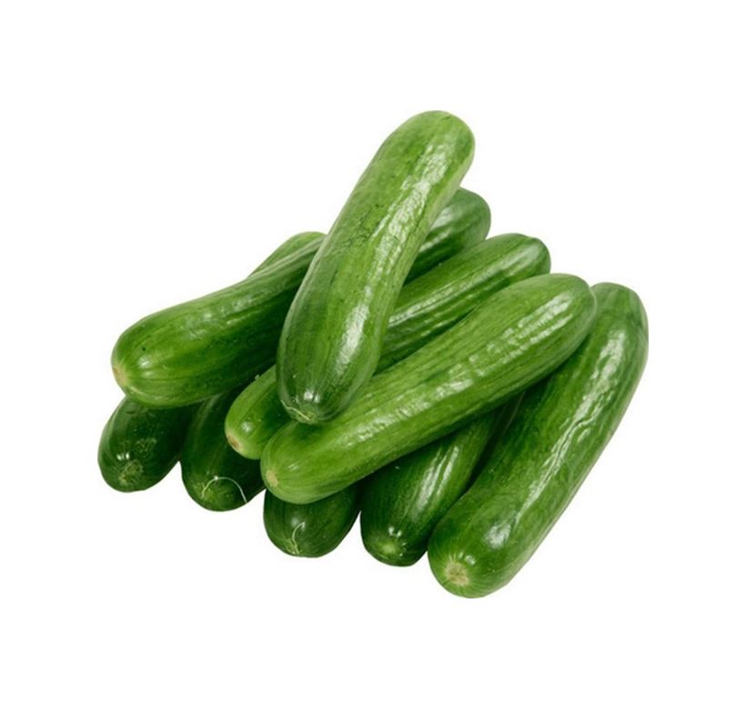Diğer RT-RYB-SNBH1092 Hıyar Tohumu 20 Gr