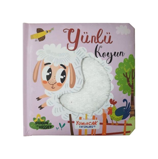 Diğer Yünlü Koyun - Huvj-761721