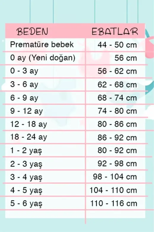 DMR Elegance DMR-BABY-BBYXML-2023030020025 Panda Desenli Kapişonlu Erkek Bebek Takımı