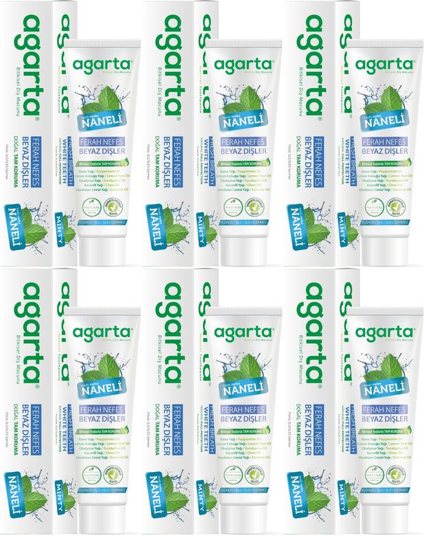 Doğal Diş Macunu 100ML Naneli (6 Lı Set)