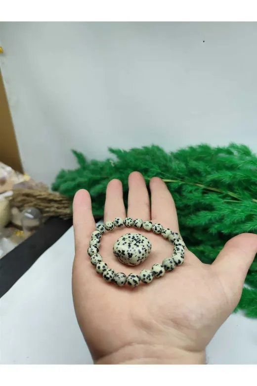 DOĞAL TAŞ CENNETİ DLMAÇYALI Dalmaçayali (Benekli ,bildircin) Jasper Taşi 8Mm Doğal Taş Bileklik Taş