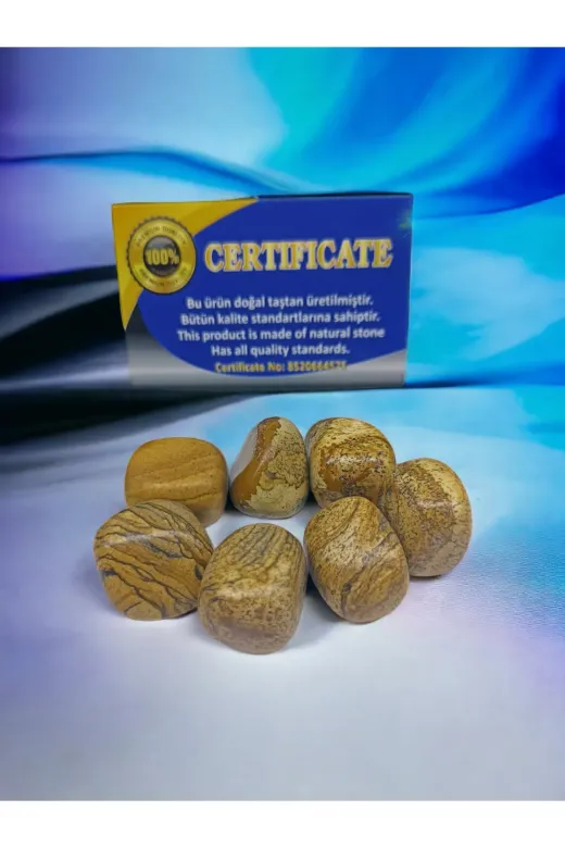 DOĞAL TAŞ CENNETİ JSPODN3455 Odun Jasper Doğal Taş
