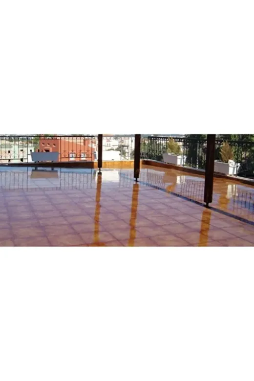 Dryfix 21392 Glassy 100 Sıvı Cam Şeffaf Kaplama 2 Kg