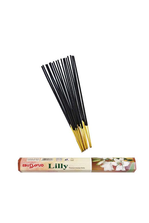 EBUDAVUD RT-RYB-3SNB10023 3 Paket 20 Çubuklu Tütsü Limon - Amber - Lilly - Kayık Hediyeli