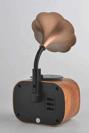 ElectraCore WOPoQsa2fd B5 Nostaljik Mini Gramafon Radyo Usb Aux Bluetooth Radyo Yüksek Ses Kalitesi