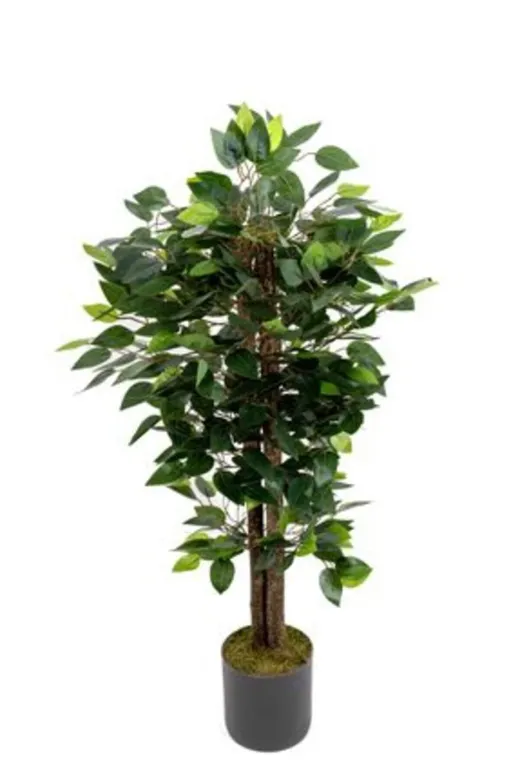 ERHAN FLOWERS Ben.120 120 Cm Yapay Benjamin Ağacı Doğal Gövde