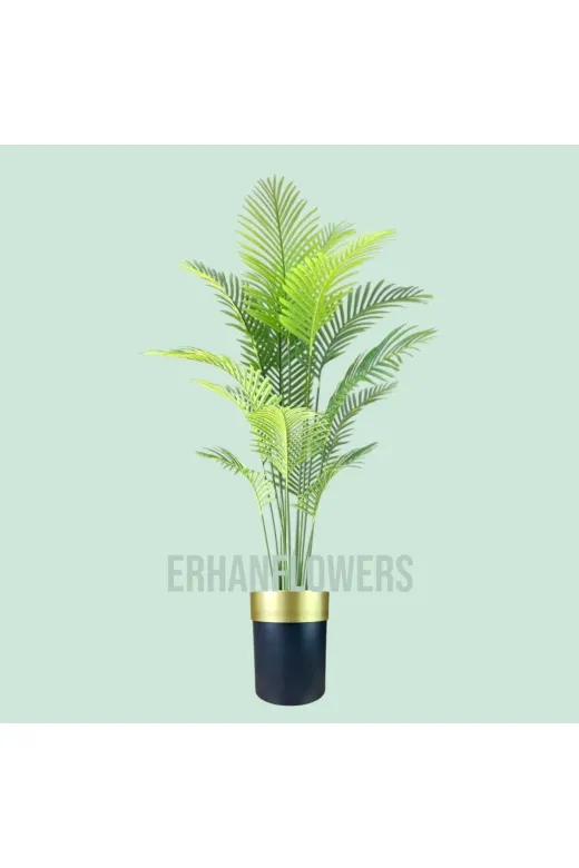 ERHAN FLOWERS ÇİÇEK & DEKORASYON ark.200 200 Cm Yapay Areka Şık Darbuka Saksıda