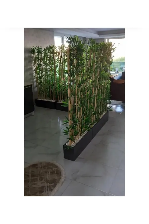 ERHAN FLOWERS ÇİÇEK & DEKORASYON spt.320.bmb 320 Cm Saksıda  170 Cm Bambu Sperator