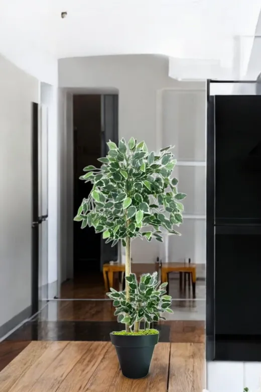 ERHAN FLOWERS ÇİÇEK & DEKORASYON ypy.agç.00286 100 Cm Ficus Yapay Ağaç Bambu 2 Gövdeli Siyah Plastik Saksı