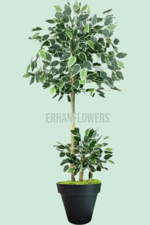 ERHAN FLOWERS ÇİÇEK & DEKORASYON ypy.agç.00288 120 Cm Ficus Yapay Ağaç Bambu 2 Gövdeli Siyah Plastik Saksı