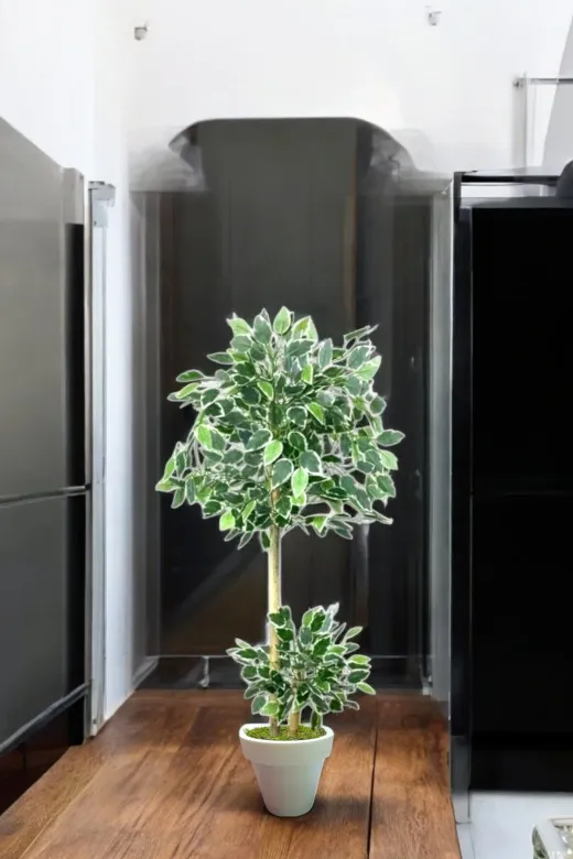 ERHAN FLOWERS ÇİÇEK & DEKORASYON ypy.agç.00298 100 Cm Ficus Yapay Ağaç Bambu 2 Gövdeli Beyaz Plastik Saksı