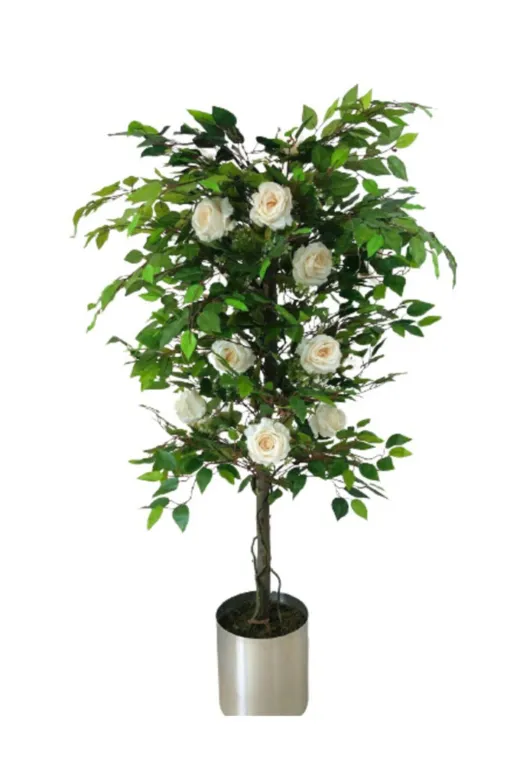 ERHAN FLOWERS Gül_ağaç_1 150 Cm Beyaz Gül Ağacı