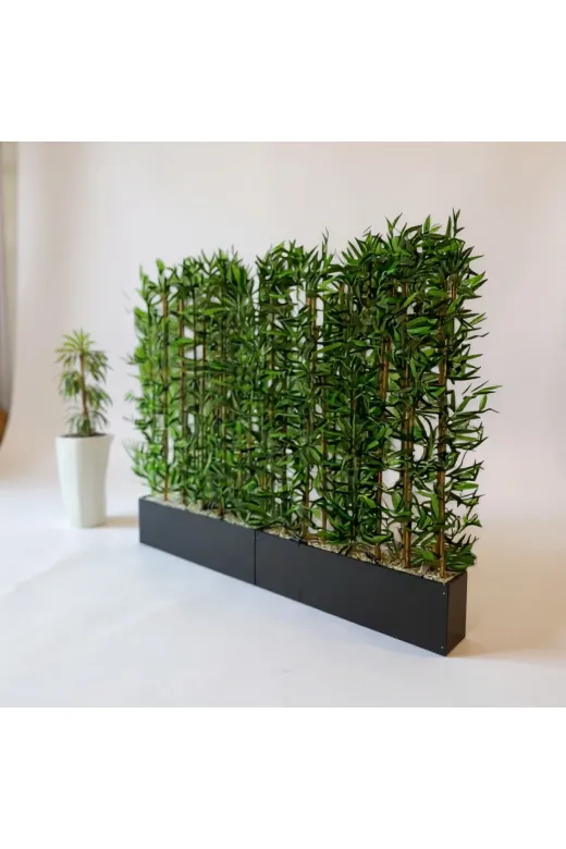 ERHAN FLOWERS spt.240.200 240 Cm Saksıda 200 Cm 36 Adet Bambulu Sperator