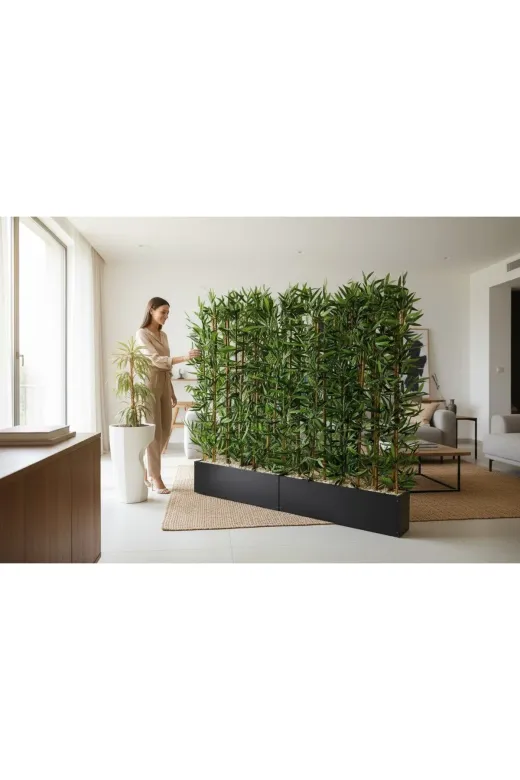 ERHAN FLOWERS spt.240.200 240 Cm Saksıda 200 Cm 36 Adet Bambulu Sperator