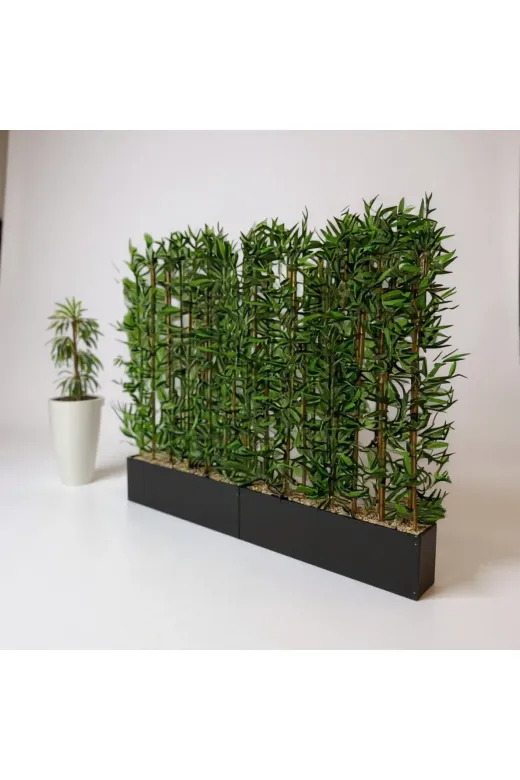 ERHAN FLOWERS spt.240.200 240 Cm Saksıda 200 Cm 36 Adet Bambulu Sperator