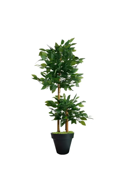 ERHAN FLOWERS ypy.100.bnj Yapay Çiçek Siyah Saksıda Benjamin Salon Balkon Ev Ağacı Yeşil Bitkisi Bambu Gövdeli Dolgun 165 Cm