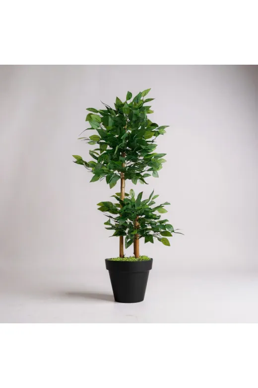 ERHAN FLOWERS ypy.100.bnj Yapay Çiçek Siyah Saksıda Benjamin Salon Balkon Ev Ağacı Yeşil Bitkisi Bambu Gövdeli Dolgun 165 Cm