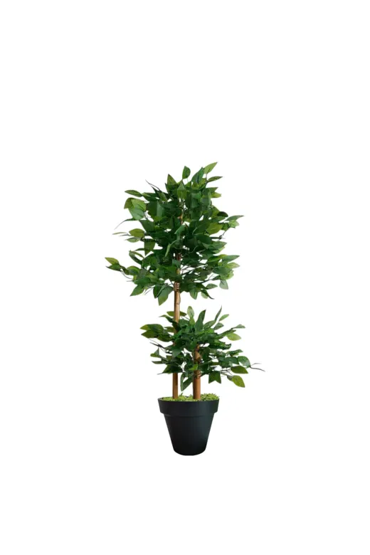 ERHAN FLOWERS ypy.100.bnj Yapay Çiçek Siyah Saksıda Benjamin Salon Balkon Ev Ağacı Yeşil Bitkisi Bambu Gövdeli Dolgun 165 Cm