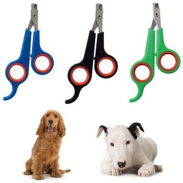 ETT 562741416362 Renkli Kedi Köpek Tırnak Makası