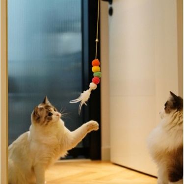 ETT 562741416440 Elastik Yapışkanlı Kedi Oyun Oltası