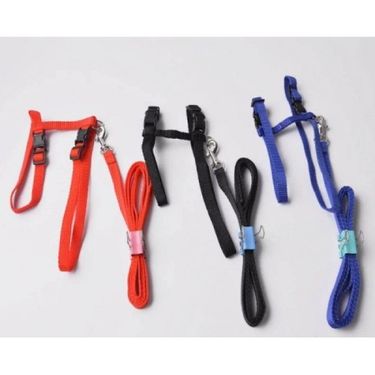 ETT 562741416442 Kedi Boyun Ve Göğüs Tasması