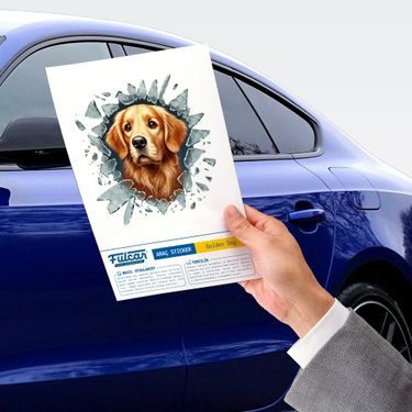 ETT 562741420584 Fulcar Golden Araç Stickerı
