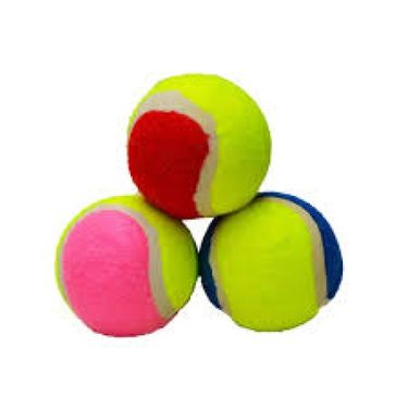 ETT 562741428118 Köpek Oyun Topu Tenis Topu