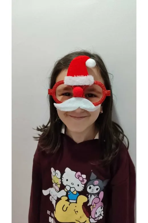 FAMEMUS ACCESSORY 3432rewrer Yılbaşına Özel Noel Baba Gözlük Yılbaşı Süsü