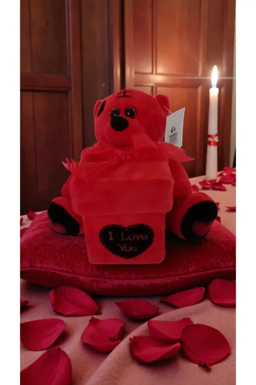 FAMEMUS ACCESSORY qweweqwewqeqw Sevgililer Gününe Özel I Love You Kutulu Ayıcık Boyut:15Cm