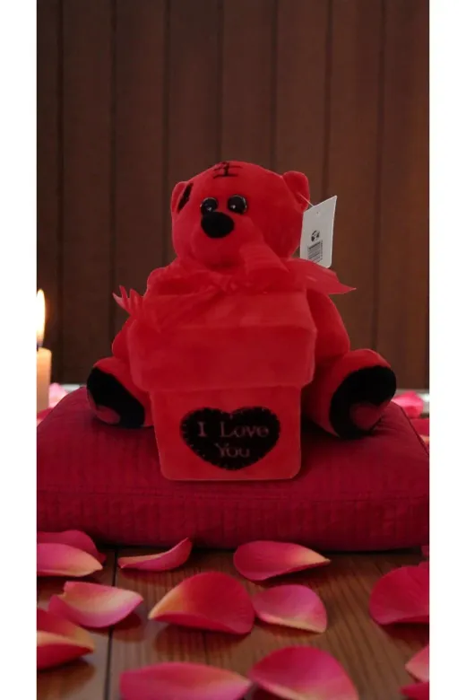 FAMEMUS ACCESSORY qweweqwewqeqw Sevgililer Gününe Özel I Love You Kutulu Ayıcık Boyut:15Cm
