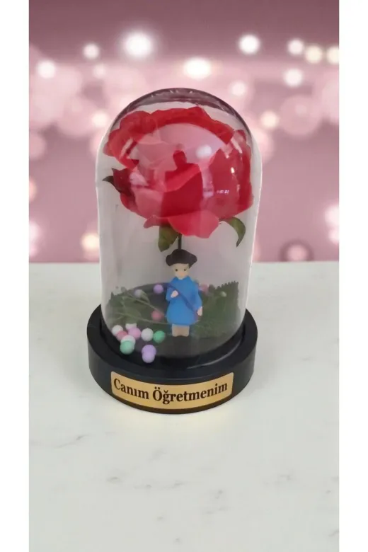 FAMEMUS ACCESSORY vvvcf5e Öğretmenler Gününe Özel Ters Fanus Gül Ürün Boyut :9*13Cm