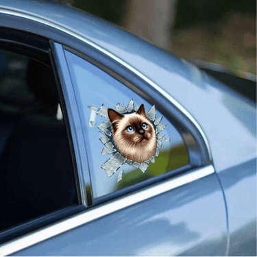 Fulcar Siamesse Araç Stickerı