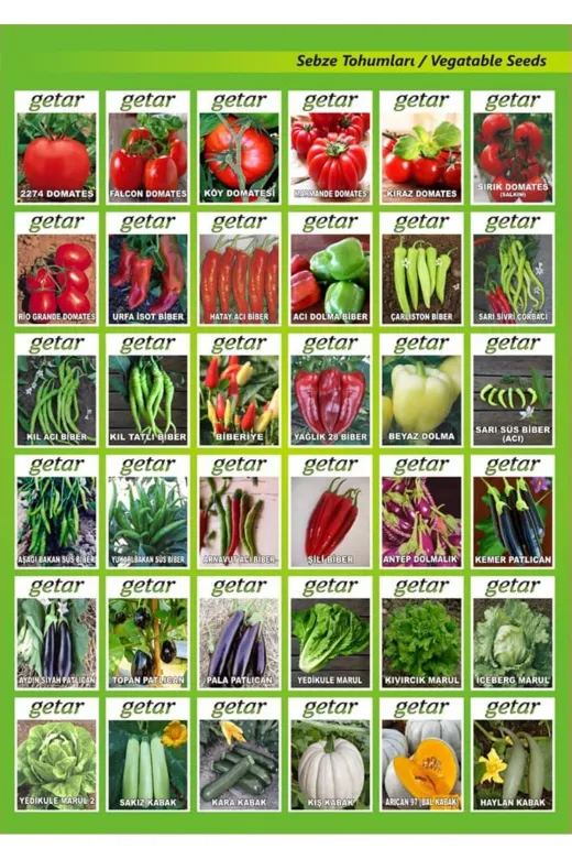 Getar Seeds TYC2IYHVGN170211429868717 Marul Iceberg Tohumu 1 Paket