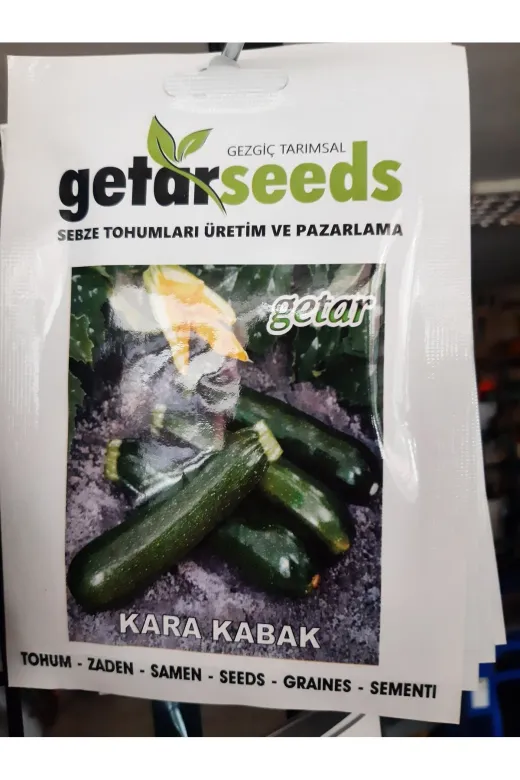 Getar Seeds TYCQ9GI00N170229597493433 Kabak Tohum Seti 2 Paket