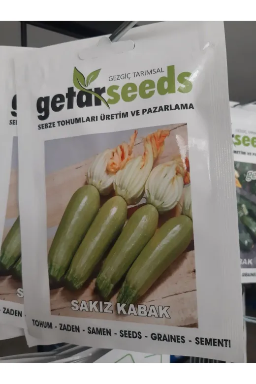 Getar Seeds TYCQ9GI00N170229597493433 Kabak Tohum Seti 2 Paket