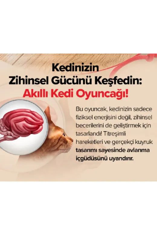 GİM AVM GİM00122 Gimavm Kırmızı Akıllı Hareketli Şarjlı 360 Derece Dönebilen Kedi Topu Karışık Renk