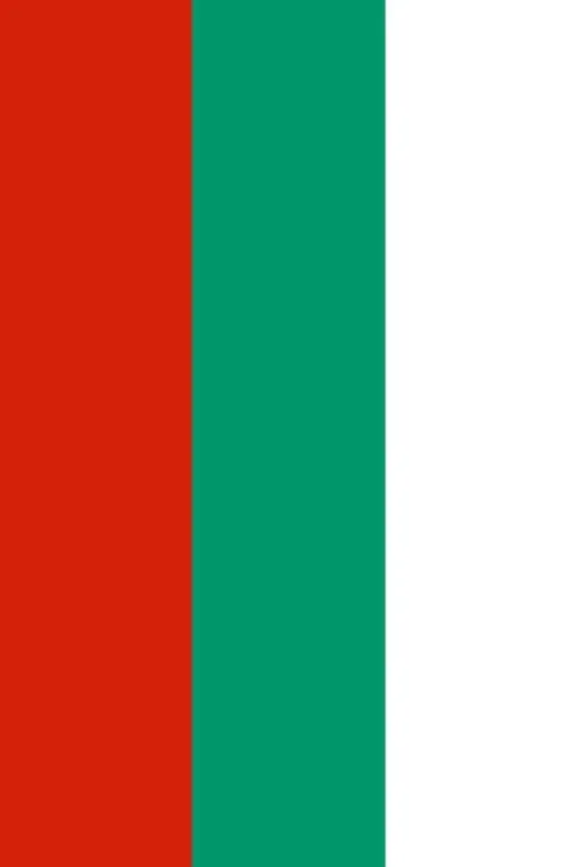 GKBY454 Bulgaristan Bayrağı 50X75 Cm.