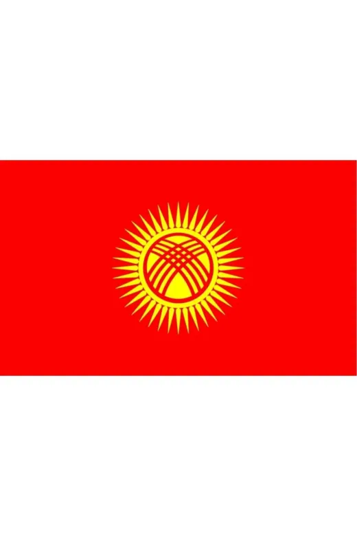 GKBY598 Kırgızistan Bayrağı 50X75 Cm