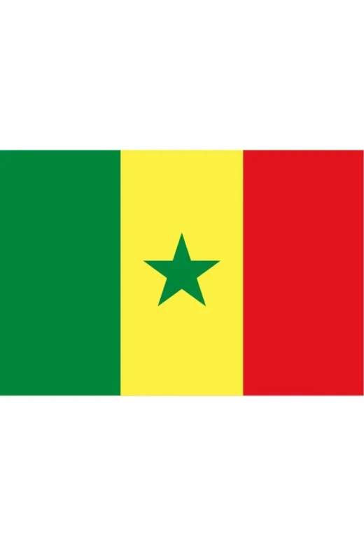 GKBY677 Senegal Bayrağı 30X45 Cm.