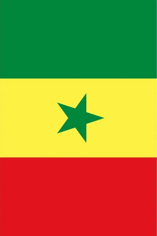 GKBY677 Senegal Bayrağı 30X45 Cm.