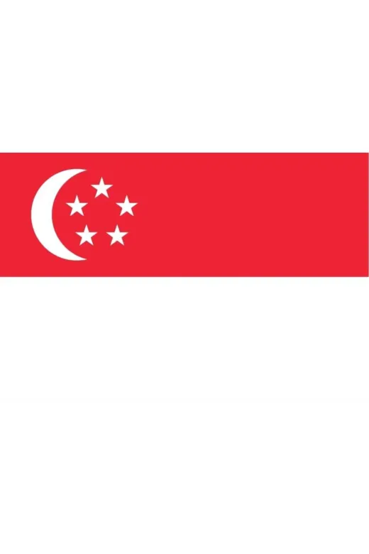 GKBY682 Singapur Bayrağı 50X75 Cm.