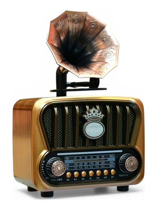 Gold Silver GS-1370 Nostalik Trend Gramafon Radyo,bluetooth Nostalji Radyo