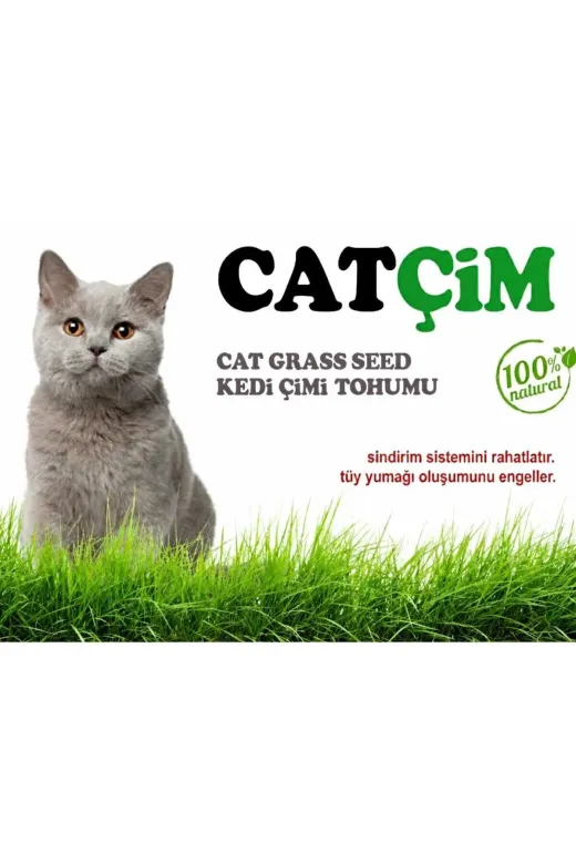 GoldMind trdylcatçim500g Kedi Çimi Kiti Arpa Buğday Yulaf. (3Lü Karışım) 500G
