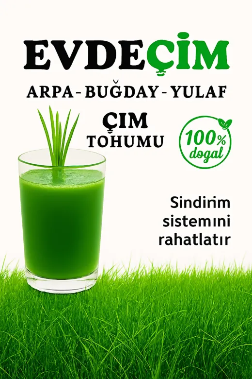 GoldMind trdylçimthm1Kg Evde Çim 1Kg Buğday, Arpa, Yulaf Çimi Tohumu (3Lü Karşım) 1Kg