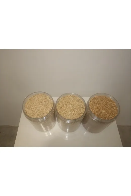 GoldMindMix kmryuarbu0.5 Kemirgen Yemi Üçlü Set 3X0.5 Kg (Yulaf Arpa, Buğday) Ayrı Poşetlerde.