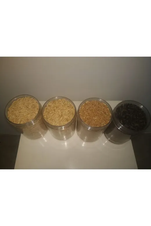 GoldMindMix kmryuarbuay1 Kemirgen Yemi Dörtlü Set 4X1Kg (Yulaf, Arpa, Buğday, Ayçekirdeği) Ayrı Poşetlerde.
