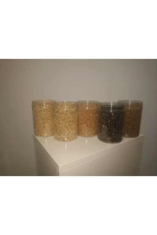 GoldMindMix kmryuarbuay1 Kemirgen Yemi Dörtlü Set 4X1Kg (Yulaf, Arpa, Buğday, Ayçekirdeği) Ayrı Poşetlerde.
